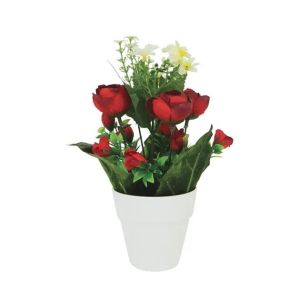 Mini arrangement of red ranagulhas flowers in a pot Fl-9 height 25 cm