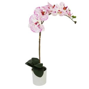 Орхидей бяло/розово Real Touch в саксия високопроизход 47 см 6/36 кутийки