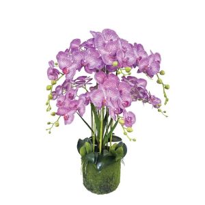 Орхидейно растение лилаво с бели раиви, цветя, истинско докосване - в80 см 1/kib