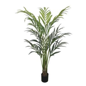 Палма в саксия - в 190 см 4/kib