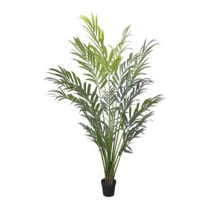 Палма в саксия - в250 см 1/kib