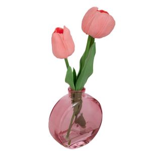 PINK TULIP 23 CM IN GLASS POT 9X10 CM