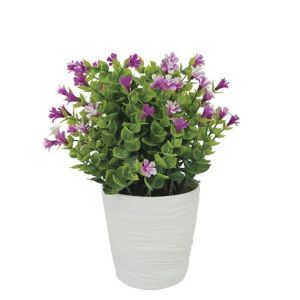 Eucalyptus pot, lilac color, Φ11x27cm, 1/36 box