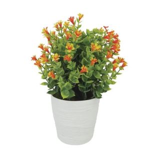 Eucalyptus pot, orange color, Φ11x27cm, 1/36 box