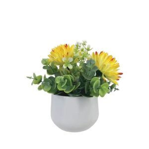 Pot with yellow/orange chrysanthemum and eucalyptus - h18 cm 6/12 boxes