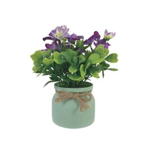 Pot with purple pelargonium - h22 cm 6/12 box