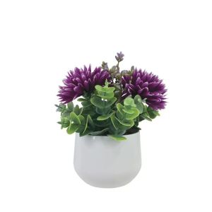 Pot with purple chrysanthemum and eucalyptus - h18 cm 6/12 box