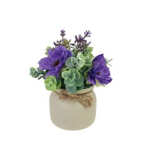 Pot with purple poppies and eucalyptus - h19 cm 6/12 box