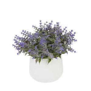 Pot with purple lavender plant Φ10x15cm 1/48box