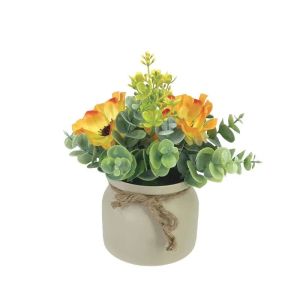 Pot with orange/yellow poppies and eucalyptus - h19 cm 6/12 box