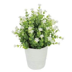 Pot with eucalyptus plant, white flowers Φ11x27cm 1/36box