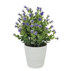 Pot with eucalyptus plant, purple flowers, Φ11x27cm, 1/36 box