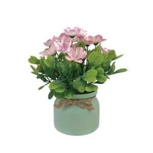 Pot with pink pelargonium - h22 cm 6/12 box