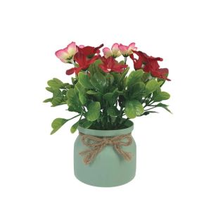 Pot with red pelargonium - h22 cm 6/12 box