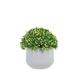 Pot with green and white buds - h14cm 8/12 boxes