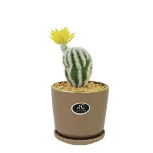 Cactus and skull in flower shaped candle with saucer Φ11x24cm 1/48kib
