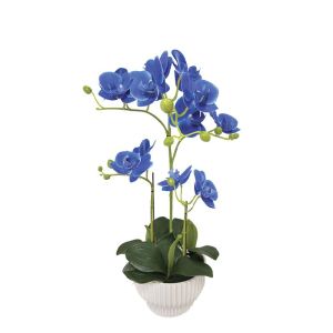 Blue orchid Real Touch in a pot (3 branches, 15 flowers) - h45cm 4/24 boxes