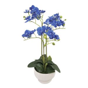 Blue orchid Real Touch in a pot (9 branches, 30 flowers) - h45cm 2/8 box