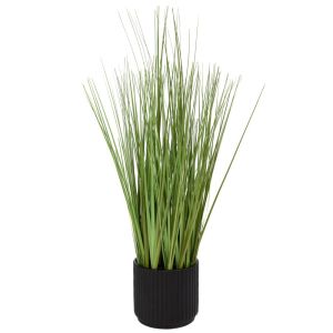 GRASS 48 CM IN CERAMIC POT 10X10 CM