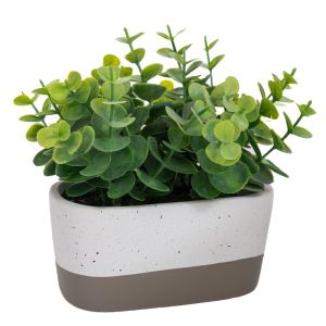 GRASS IN CERAMIC POT 14X7X19 CM