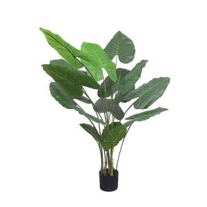 Philodendron tree in a pot - high quality 130 cm 4/kib