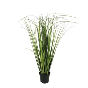 Onion grass bush, dark green, in a pot, height 50 cm, 4/24 boxes