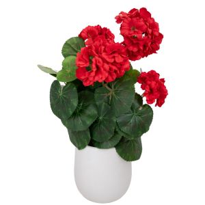 RED HYDRANGEA 38 CM IN PLASTIC POT 11 X 12.5 CM