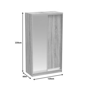 Double-door corridor wardrobe with mirror, wenge color, 120x60x220cm