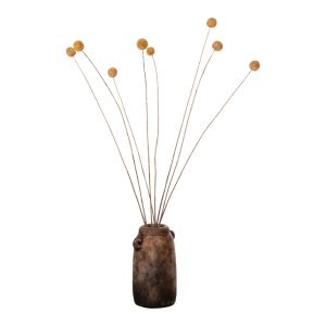 Декоративен сушен букет Craspedia Globosa жълт 63hcm Hm7956