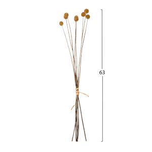 Декоративен сушен букет Craspedia Globosa жълт 63hcm Hm7956