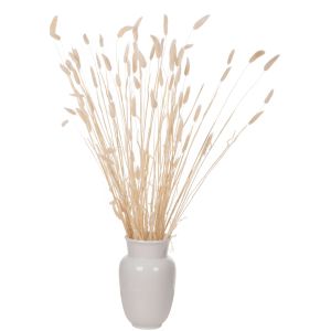 Decorative dried bouquet Rabbit Tail cream 76hcm Hm7959