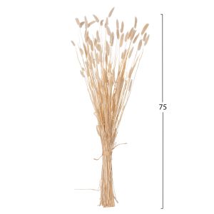 Decorative dried bouquet Rabbit Tail cream 76hcm Hm7959