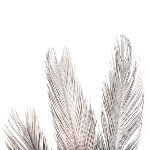 Decorative dried 3 palm leaves silver 120hcm ημ7957