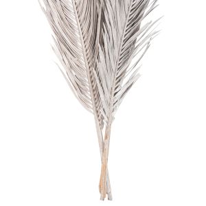 Decorative dried 3 palm leaves silver 120hcm ημ7957
