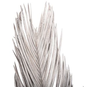 Decorative dried 3 palm leaves silver 120hcm ημ7957