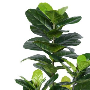 Decorative Fiddlehead tree in a pot Inart H120cm