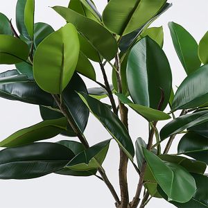 Декоративно растение в саксия Ficus Lyrata зелено D70x130см