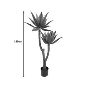 Ornamental lotus plant in a pot, green, height 120 cm