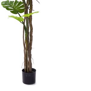 Decorative potted plant Monstera Iii Inart H180cm