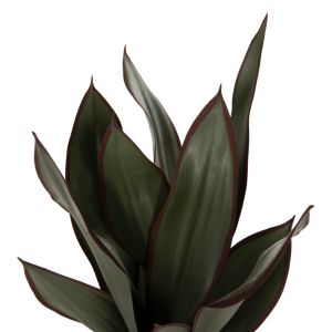 Decorative synthetic plant in a pot D14x12-51cm Hm7996