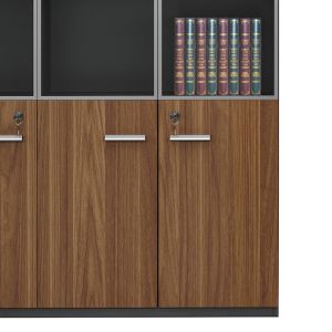 Office shelf Oscar with glass doors, walnut/anthracite color, 120x40x200cm