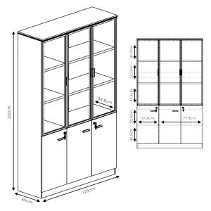 Office shelf Oscar with glass doors, walnut/anthracite color, 120x40x200cm