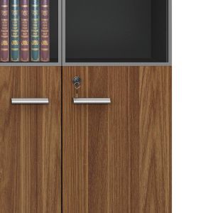 Office shelf Oscar with glass doors, walnut/anthracite color, 80x40x200cm