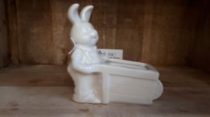 Rabbit