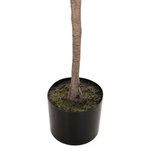 Изкуствено растение в кашпа Hm4006 190hcm