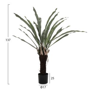 Изкуствено растение в кашпа Hm7975 Asplenium 137hcm
