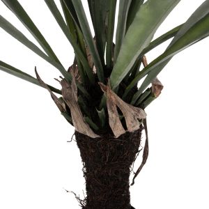 Изкуствено растение в кашпа Hm7975 Asplenium 137hcm