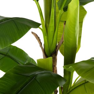Artificial plant in pot Hm7977 banana tree 150hcm