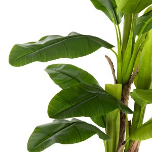 Artificial plant in pot Hm7977 banana tree 150hcm