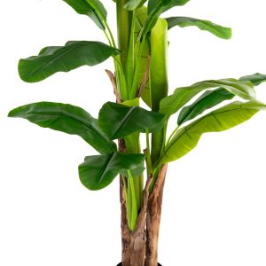 Artificial plant in pot Hm7977 banana tree 150hcm